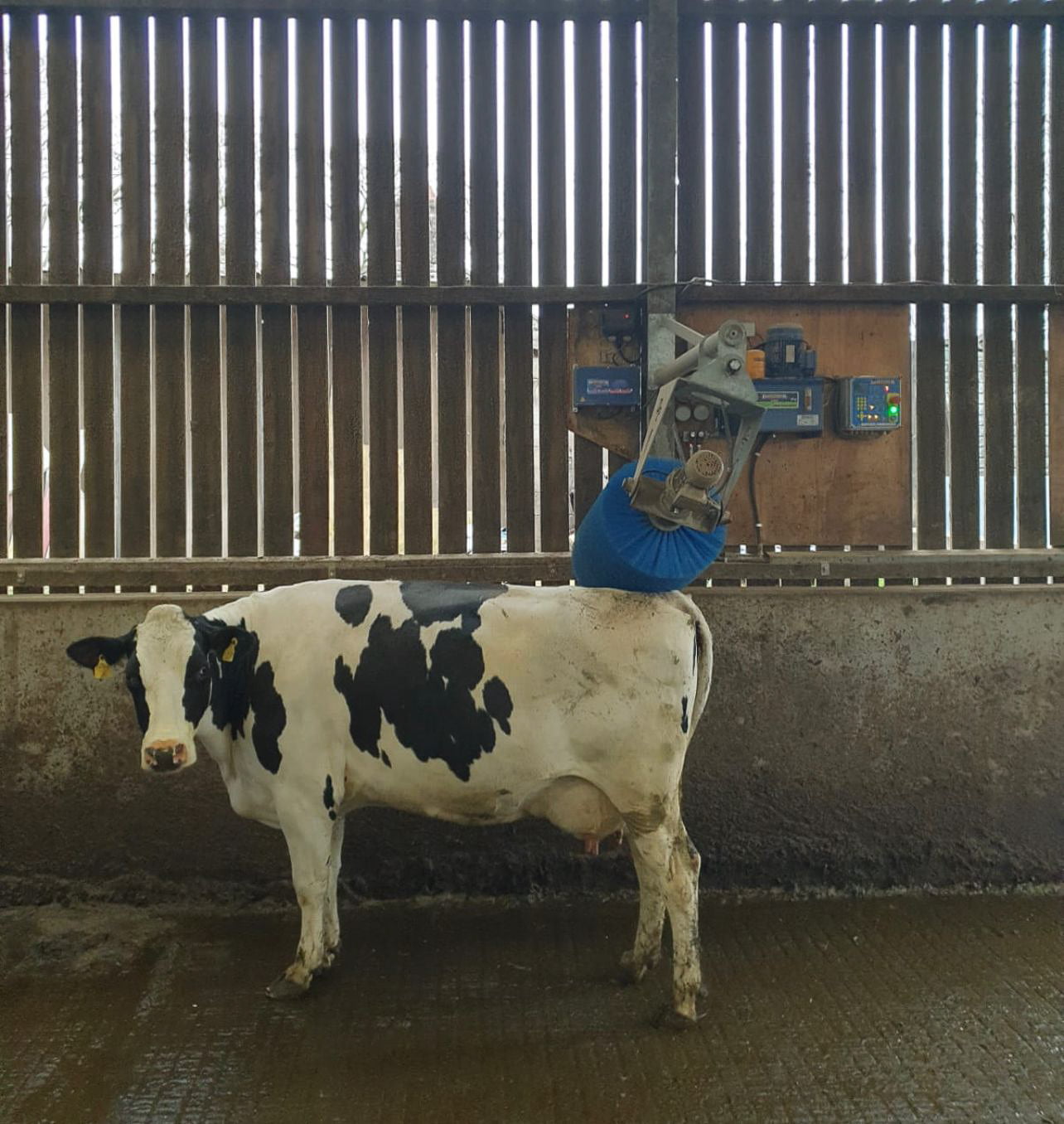 Cowbrush Installed by Dairypower