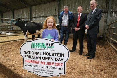 holstein open day 2017