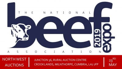 beef expo 2019 logo - dairypower trade stand