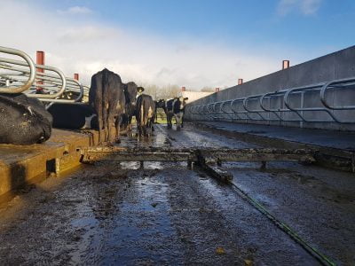 Rope Scraper installed by Dairypower