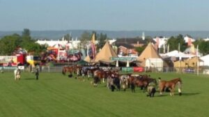 devon county show