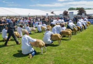 royal highland show2019