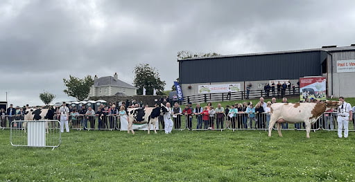 Irish Holstein Friesian Association National Open Day 2022