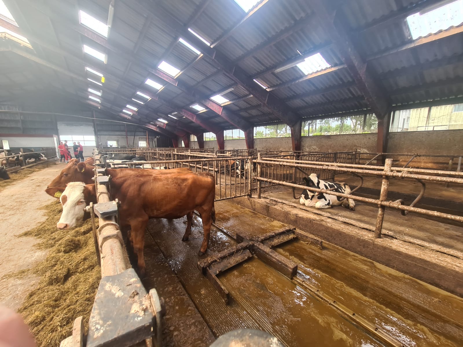 Dairypower visit Fjossystemer, Norway